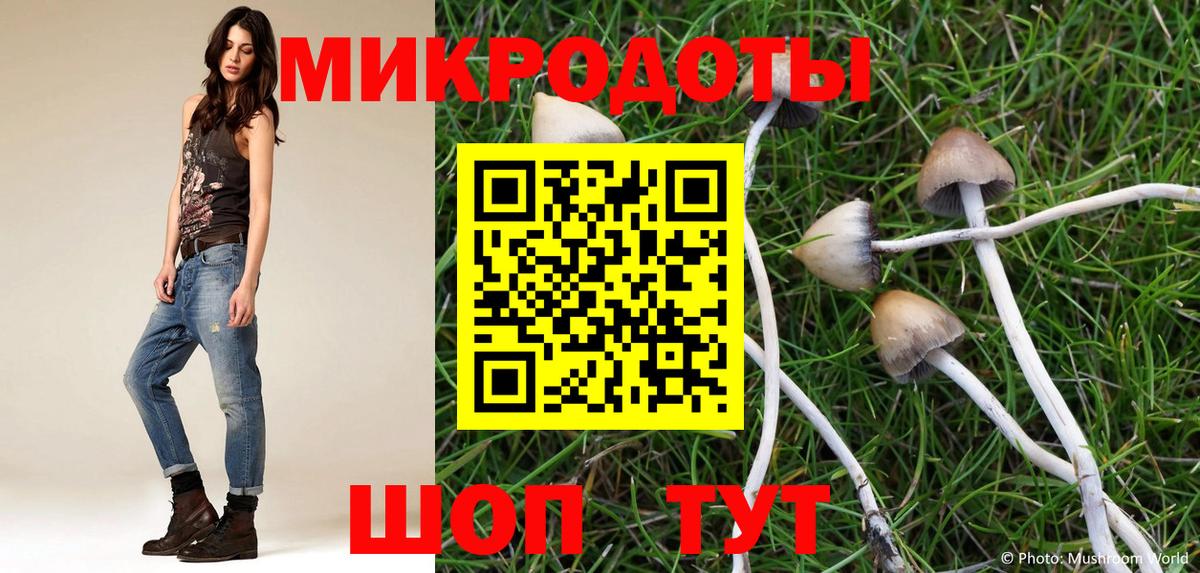 Псилоцибиновые грибы Psilocybe Ликино-Дулёво