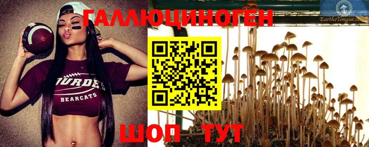 Псилоцибиновые грибы Magic Shrooms  Вход с VPN  Ликино-Дулёво 
